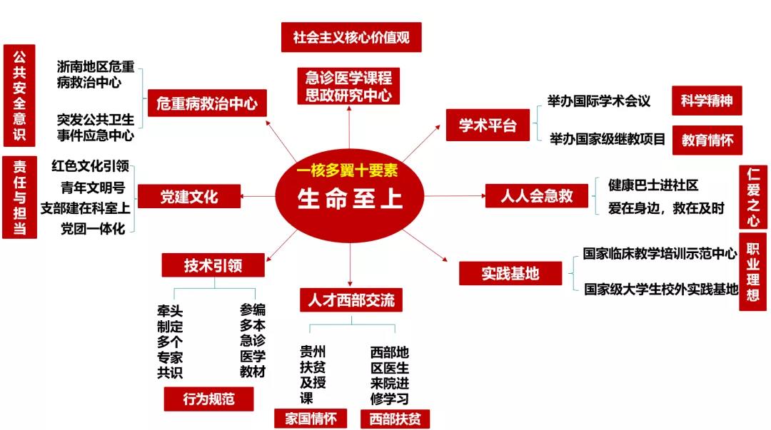 温州医科大学生命健康系列课程思政示范课程急诊医学